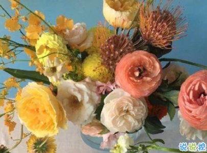 深入人心的經(jīng)典說說配圖 抖音經(jīng)典內(nèi)涵說說大全9