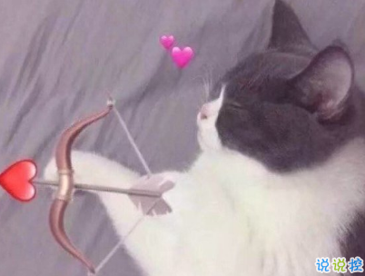 今年流行的朋友圈愛情說說配圖 談戀愛真的很麻煩以后我麻煩你了5