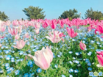 今年流行的朋友圈愛情說說配圖 談戀愛真的很麻煩以后我麻煩你了8