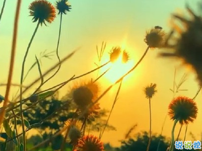 今年流行的朋友圈愛情說說配圖 談戀愛真的很麻煩以后我麻煩你了11