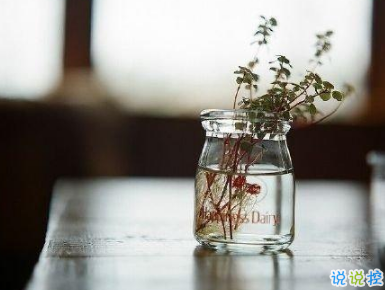 28句哲理說說人生感悟 穿透人心的哲理美句2