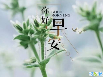 抖音最火爆的早安問候語配圖 適合發(fā)給好友的早安語錄6
