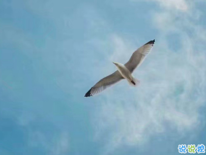 微信每日一句經(jīng)典語錄配圖 經(jīng)典有內(nèi)涵的說說帶圖片15