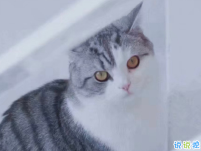 微信每日一句經(jīng)典語錄配圖 經(jīng)典有內(nèi)涵的說說帶圖片11