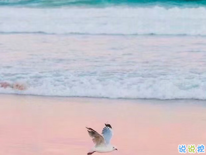 微信每日一句經(jīng)典語錄配圖 經(jīng)典有內(nèi)涵的說說帶圖片8