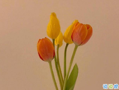 微信每日一句經(jīng)典語錄配圖 經(jīng)典有內(nèi)涵的說說帶圖片1