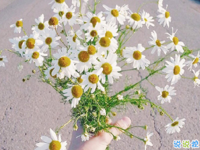 有內(nèi)涵有深意的經(jīng)典說說 使人受益終生的話帶圖片13