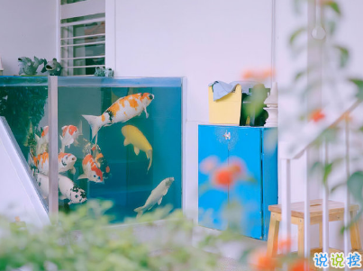 最新微信經(jīng)典說說帶圖片 句句經(jīng)典穿透人心12