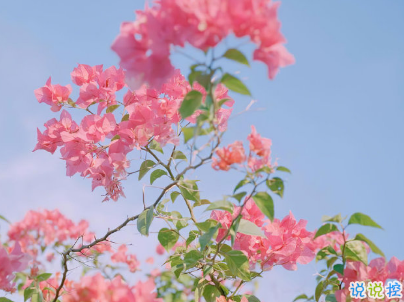 最新微信經(jīng)典說說帶圖片 句句經(jīng)典穿透人心8