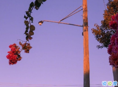 艾特對(duì)象的情話說說帶圖片 說給另一半聽的幸福話語13