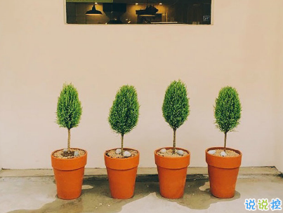 艾特對(duì)象的情話說說帶圖片 說給另一半聽的幸福話語11