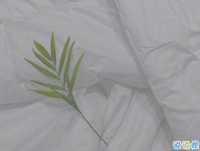 艾特對(duì)象的情話說說帶圖片 說給另一半聽的幸福話語15