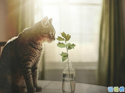 人心涼了的傷感說(shuō)說(shuō)帶圖片 水涼了可以喝心涼了連呼吸都痛8