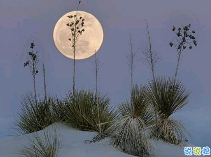 點(diǎn)贊率最高的哲理說(shuō)說(shuō) 2019最受歡迎的哲理句子合集1