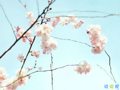 早安心語唯美說說帶圖片 簡單溫暖的早安句子2