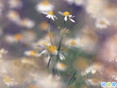 早安心語唯美說說帶圖片 簡單溫暖的早安句子9