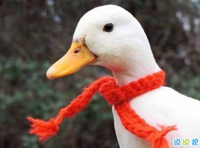 早安心語唯美說說帶圖片 簡單溫暖的早安句子7