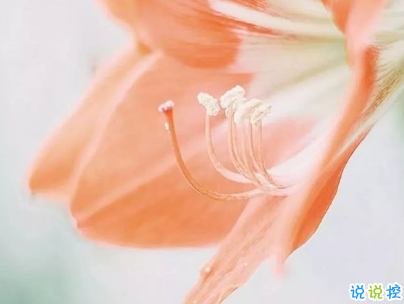 早安心語唯美說說帶圖片 簡單溫暖的早安句子10