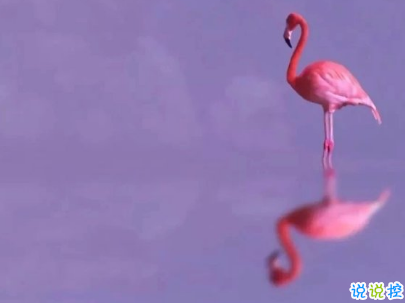 早安心語唯美說說帶圖片 簡單溫暖的早安句子11