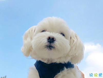 早安心語唯美說說帶圖片 簡單溫暖的早安句子1