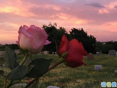 聽起來很純粹的愛情說說 干凈愜意的愛情說說配圖 6