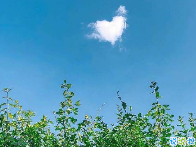 聽起來很純粹的愛情說說 干凈愜意的愛情說說配圖 11