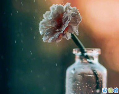 下雨天感慨說(shuō)說(shuō)傷感句子 心情就像下雨天的說(shuō)說(shuō)1