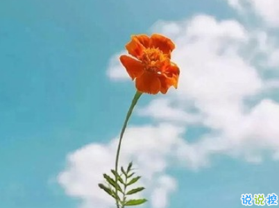 絕望到死的女生說說帶圖片 最令人心累的話語7