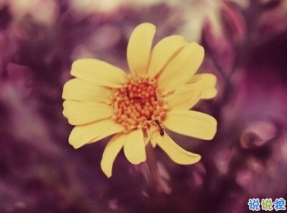 絕望到死的女生說說帶圖片 最令人心累的話語8