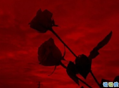 絕望到死的女生說說帶圖片 最令人心累的話語13