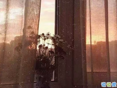 微博文藝小短句帶圖片 小眾且好聽的微博句子14