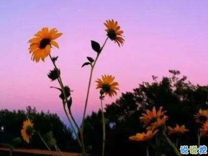 微博文藝小短句帶圖片 小眾且好聽的微博句子3