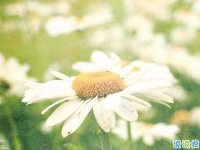 晚安問(wèn)候語(yǔ)簡(jiǎn)短一句話(huà)配圖 唯美好聽(tīng)的晚安說(shuō)說(shuō)4