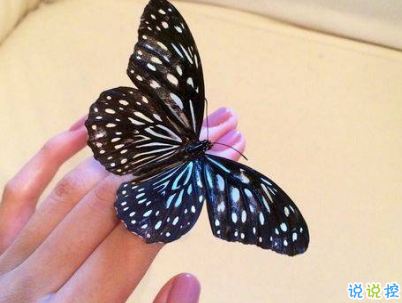 晚安問(wèn)候語(yǔ)簡(jiǎn)短一句話(huà)配圖 唯美好聽(tīng)的晚安說(shuō)說(shuō)12