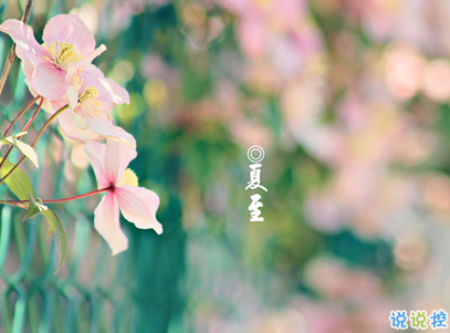 2019夏至說說短語帶圖片 夏至qq空間唯美說說大全9