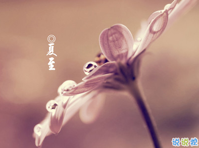 2019夏至說說短語帶圖片 夏至qq空間唯美說說大全13