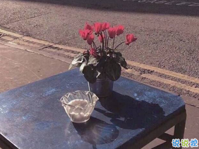 微信經(jīng)典文藝小短句帶圖片 聽起來很有感覺的文藝句子10