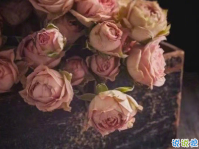 微信經(jīng)典文藝小短句帶圖片 聽起來很有感覺的文藝句子5