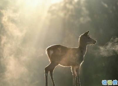 微信經(jīng)典文藝小短句帶圖片 聽起來很有感覺的文藝句子6