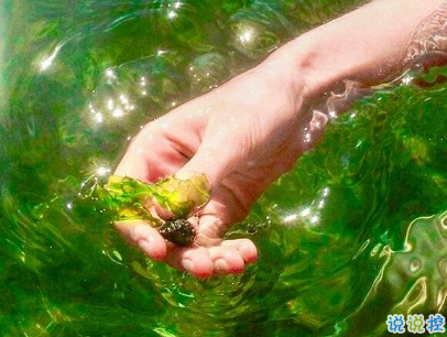 心痛失眠的經(jīng)典說說 失戀后睡不著的句子1