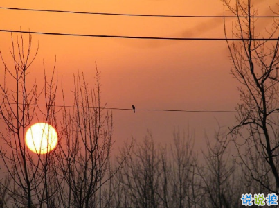 朋友圈經(jīng)典愛情說說配圖 學(xué)會愛然后長大6