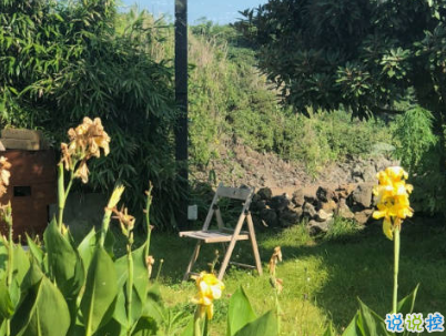 朋友圈經(jīng)典愛情說說配圖 學(xué)會愛然后長大13