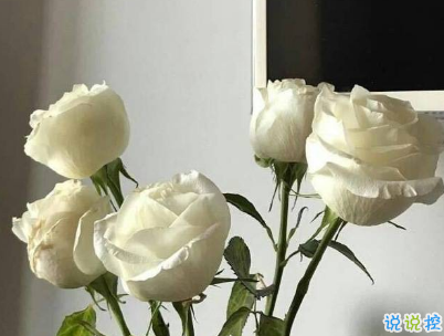 朋友圈經(jīng)典愛情說說配圖 學(xué)會愛然后長大14