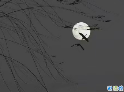 朋友圈干凈短句帶圖片 干凈短句說說很精辟7