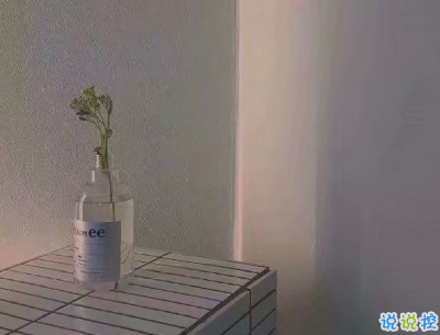 朋友圈干凈短句帶圖片 干凈短句說說很精辟12