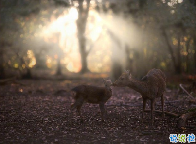 朋友圈干凈短句帶圖片 干凈短句說說很精辟13