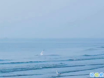 朋友圈干凈短句帶圖片 干凈短句說說很精辟11