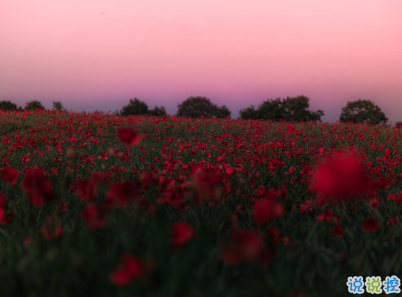 朋友圈干凈短句帶圖片 干凈短句說說很精辟9