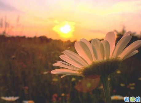 微信曬高考成績單的說說 2019知道高考成績發(fā)朋友圈的勵(lì)志句子1