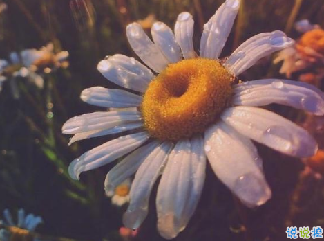 微信曬高考成績單的說說 2019知道高考成績發(fā)朋友圈的勵(lì)志句子2